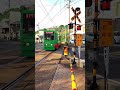 【鹿児島市電603号・9514号】【新川4号踏切】でクロスします。 #shorts #路面電車 #tram