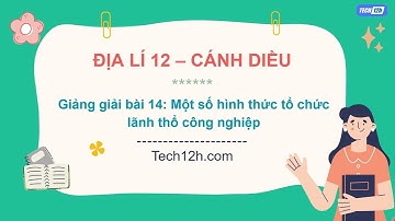 Giảng bài 14: Một số hình thức tổ chức lãnh thổ công nghiệp | Bài giảng Địa lí 12 CD