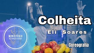 MDK - Coreografia Colheita - Eli Soares
