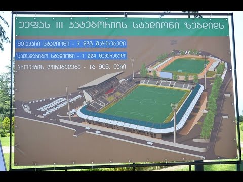 ზუგდიდის სტადიონის განხილვა
