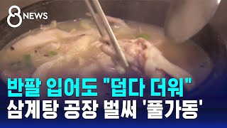 "봄이 없네" 바빠진 기업들…삼계탕 공장도 '풀가동' / SBS 8뉴스