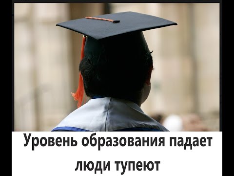 Уровень интеллекта и образования падает