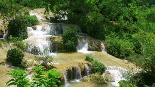 Relaxing Music: Healing Music, Soothing Sounds of Waterfall to Relieve Stress and Anxiety