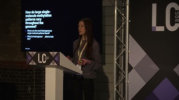 Genome-wide single-molecule analysis of DNA methylation reveals heterogeneous patterns