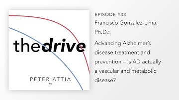 #38–Francisco Gonzalez-Lima, Ph.D.: Alzheimer’s disease & the vascular hypothesis