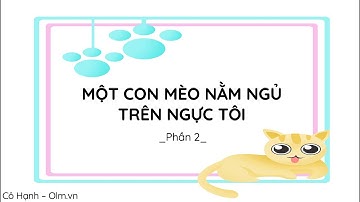 Một con mèo nằm ngủ trên ngực tôi (Phần 2) - Ngữ văn 7 (Chân trời sáng tạo) [OLM.VN]