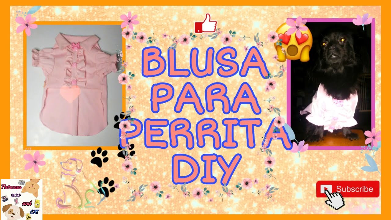 BLUSA PARA PERRITA DIY - YouTube