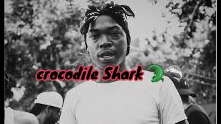 Skillibeng - Crocodile Shark (Official Lyrics Video)