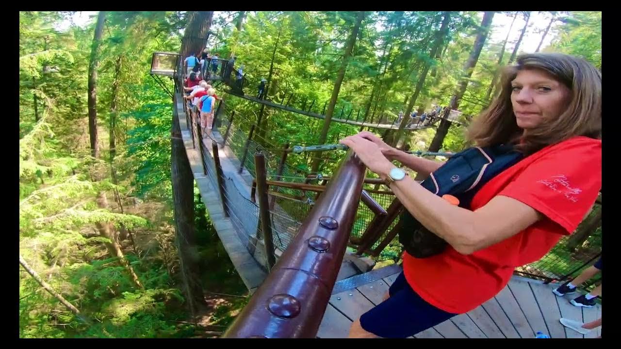 Capilano Suspension Bridgecliffwalk and Treetop Adventure the perfect