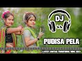 Pudisa pelanew santali traditional song 2023new santali dj song 2023djsurajremixnewsantali.