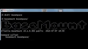 BaseMount Tutorial - 06 - Accessing AppResults BAM files with samtools