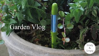Garden vlog #009/ベランダーガーデニング/サスティーを使ってみる/ミントを植える/use moisture checker/Plant a mint.