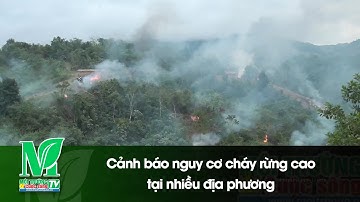 Cảnh báo nguy cơ cháy rừng cao tại nhiều địa phương