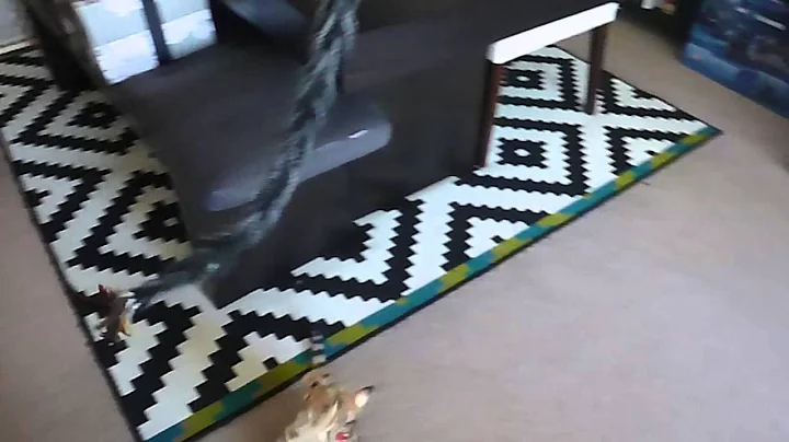 Watch the video about Playing with an F2 Savannah cat