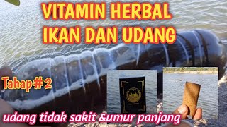 ORGANIC WAYS TO FERTILIZATE POND SOIL AND ACCELERATE SHRIMP GROWTH