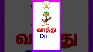 Learn Animals Name in Tamil and English|Tamilarasi