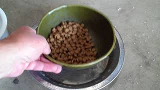 No ants in Pet Food