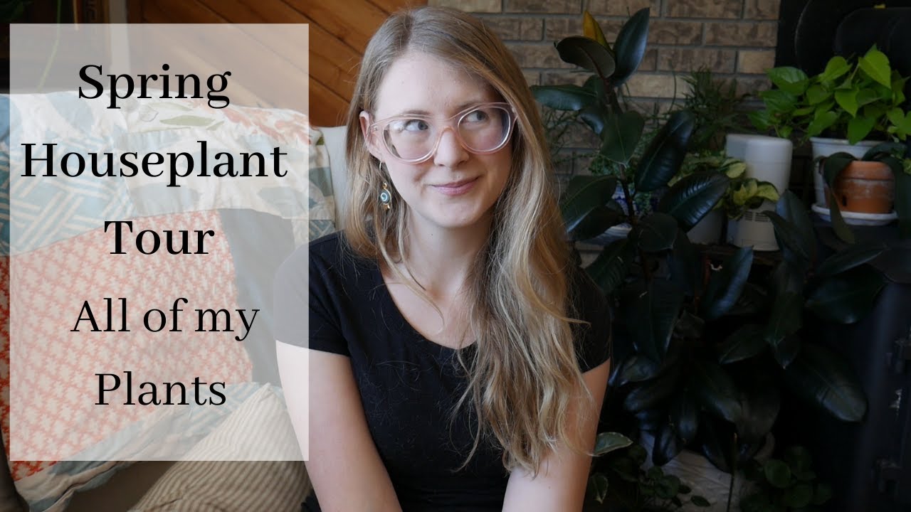 Spring Houseplant tour | All of my Plants