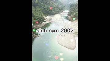 Video ngắm hay TikTok/ cầu cốc ly