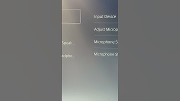 Always turn this privacy setting on. PS5 controller microphone. Mute button #dualsense #ps5