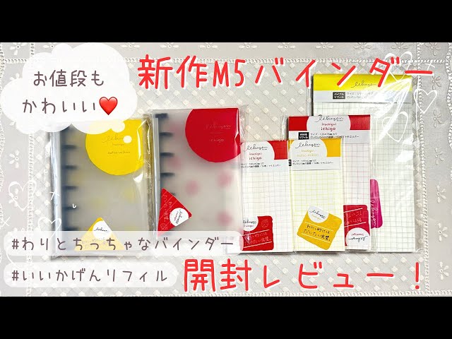【れなち♡】リフィル3点、バインダー2点　計5点 Unboxing】This Tiny Binder (Official Name) Is So Cute♡ | Good