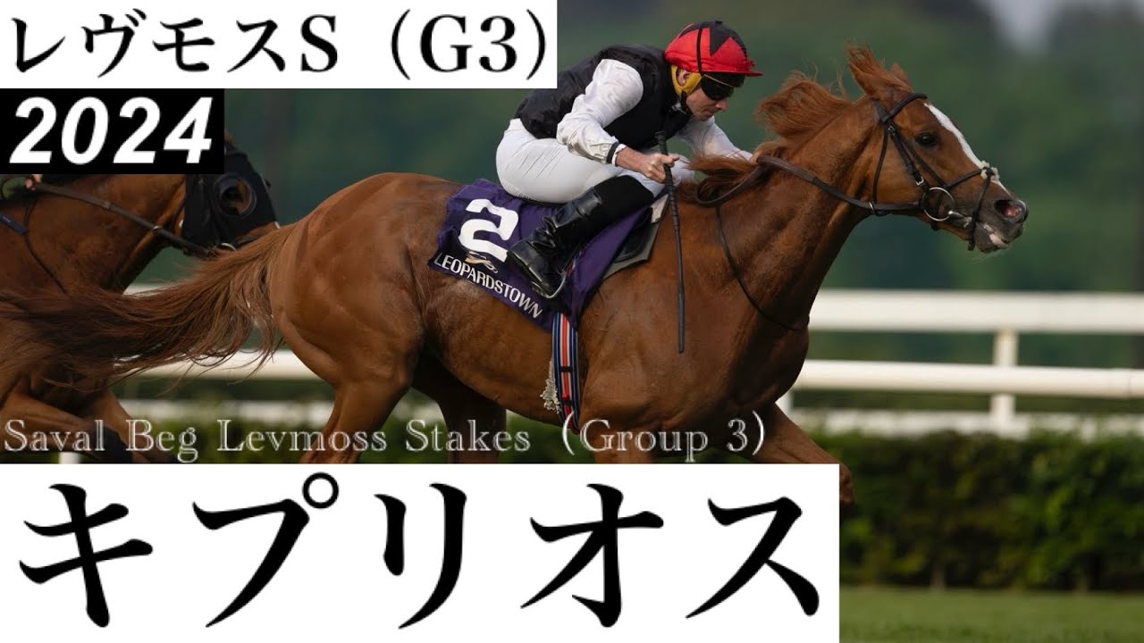 圧倒的1番人気キプリオスが貫禄勝利、ゴールドカップへ【レヴモスS 2024】/ Kyprios【Saval Beg Levmoss Stakes 2024】