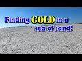 Unique gold found metal detecting Florida beaches! | Ep 182 #treasurehunting #metaldetecting #gold
