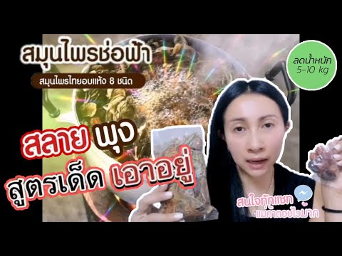 สมุนไพรลดพุง ดีท็อค สลายไขมัน ที่ดังที่สุดใน TikTok​ | สูตรล้มช้าง | ยกให้ "สมุนไพรช่อฟ้า"