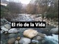 Reflexiones - El Rio De La Vida