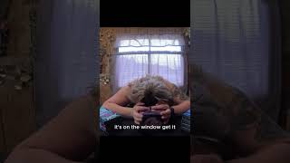 Pokémon Rip Gone Wrong! #pokemon #fyp