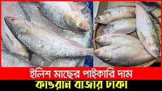 ইলিশ মাছের পাইকারি দাম | আজকে বাজারে ইলিশ মাছের দাম কত, কাওরান বাজার | Hilsa/Ilish Fish Price Today