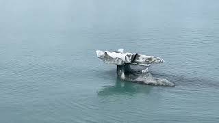 2022 Alaska Cruise, Silversea Muse IMG 4998