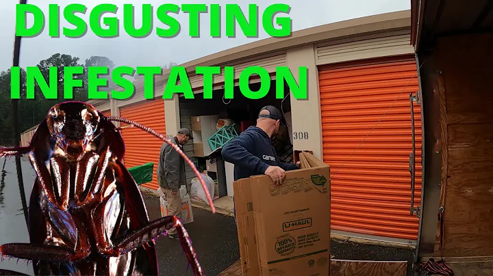 We Won A Storage Auction Unit And They Were Crawling Everywhere When The Door Opened. Infested! - DayDayNews