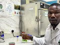 Urine culture
