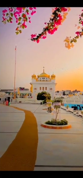 ik baba nanak sunda pkh mera❤🙇🙇