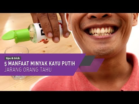 Inilah 5 Manfaat Minyak Kayu Putih Jarang Orang Tahu