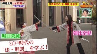 お江戸に恋して【江戸時代の法・刑罰(2020/11/28 OA)】