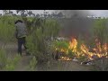 Arsonist Caught Fueling Brush Fire In Chula Vista (Caught On Camera)