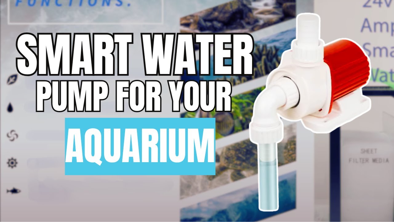 DCS Series 24v DC ECO Amphibious Smart Wave Water Pumps