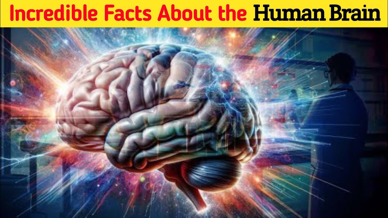 Unlocking the Secrets of the Brain Mysteries Revealed! - YouTube