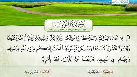 سورة التوبة | من الآية 17 إلى 33 | القارئ الشيخ نهاد أيوب أبو العطا