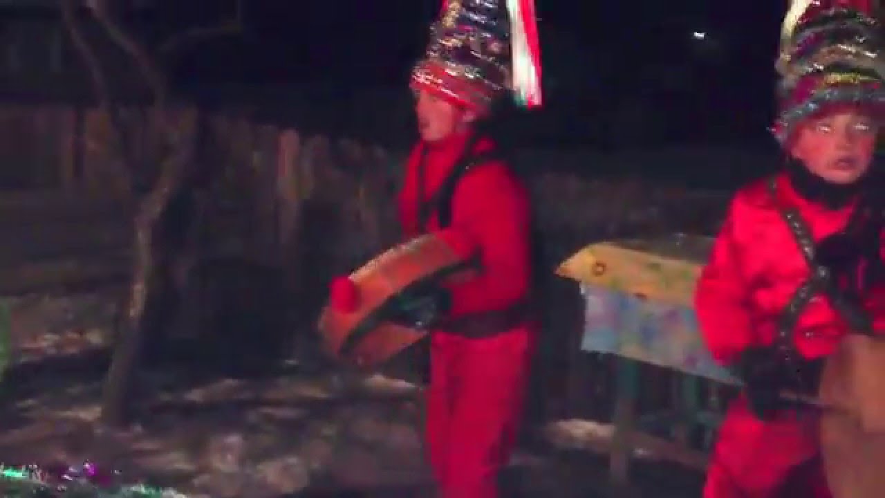 Cerbul Goesti,comuna Lungani, judetul Iasi 2013 PREM1. zona Moldovei,,