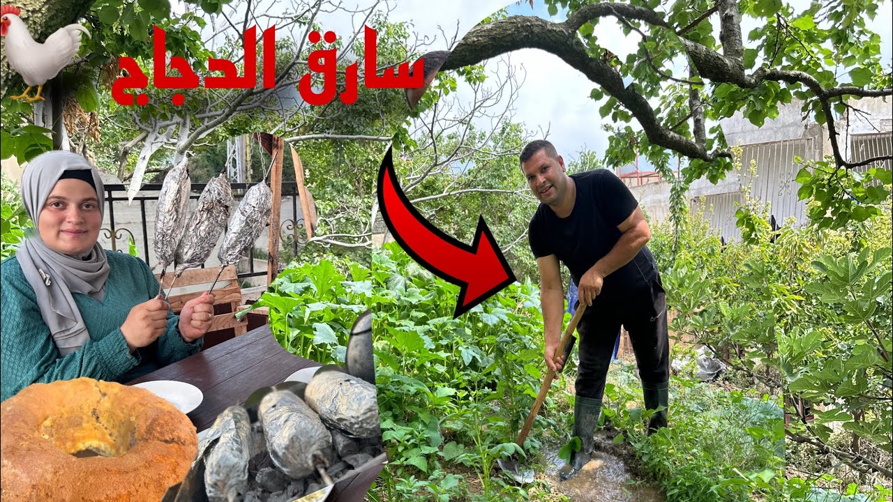 يحي يسرق الدجاج  🥲🐓تحضير لحمة بالخضروات  وأطيب كاتو أسفنجي 🎂ري المزروعات