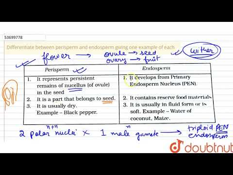 Video: Diferența Dintre Endosperm și Perisperm