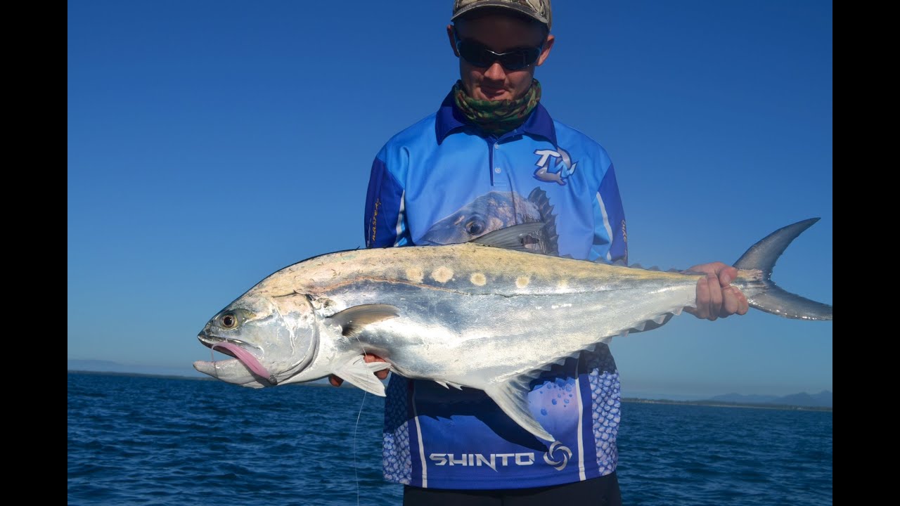 Lucinda Queenfish ZMan/TT Lures YouTube