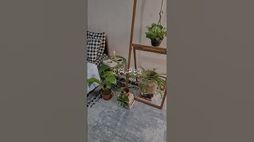 اسمعها بقلبك ❤️ تلاوة تهز المشاعر بصوت #فارس_عباد 🌿 #سورة_الشرح #قرآن_كريم #راحة_نفسية #quran