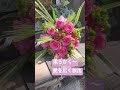 春ブーケ #フラワーブーケ #花屋
