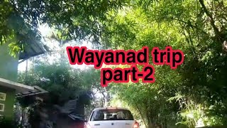 Wayanad trip |Adithya natural resort |Part-2|our enjoy tha entertainment