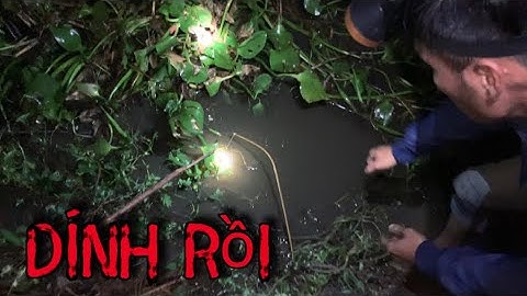 Cắm Câu Cá Lóc Đồng Hành Trình Long An Cầu Bo Bo