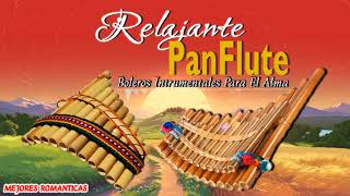 MINHA RÁDIO: Beautiful Pan Flute Instrumental Love Songs 💖 Best Relaxing Instrumental Music